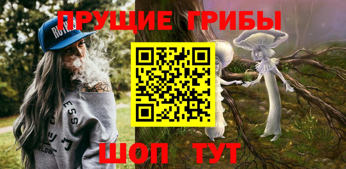 Галлюциногенные грибы Cubensis Старая Купавна