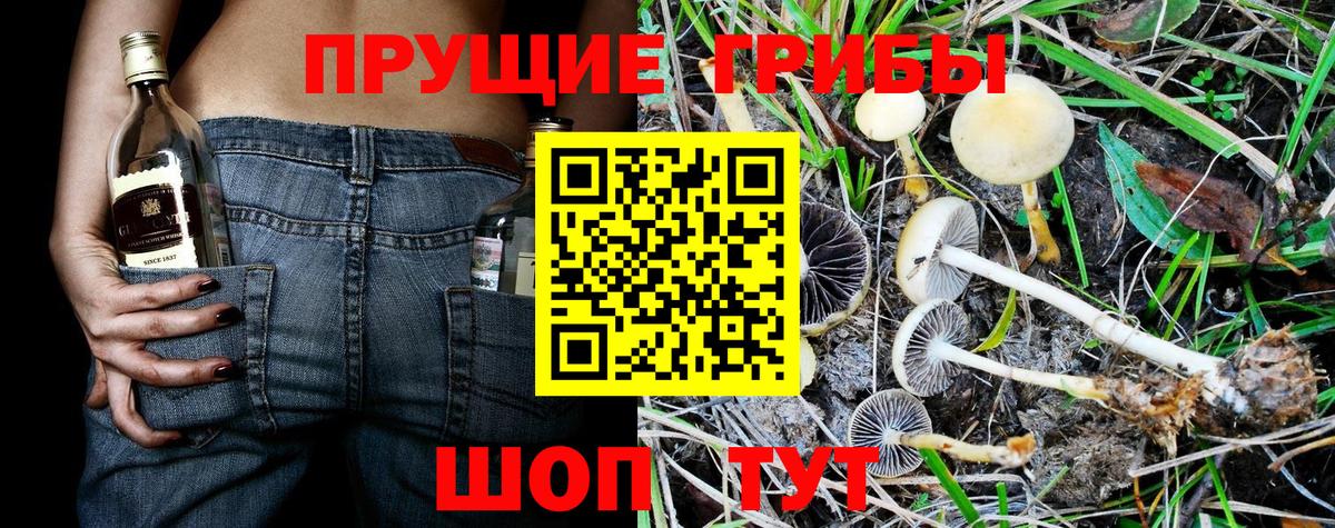 Псилоцибиновые грибы Magic Shrooms  Псилоцибиновые грибы Psilocybe  Вход с VPN  Старая Купавна 