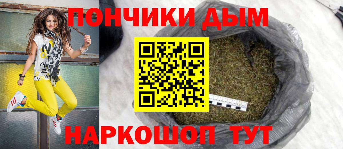 Канабис сатива Старая Купавна